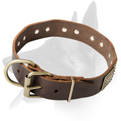 Malinois Leather Collar With Solid Brass Plates