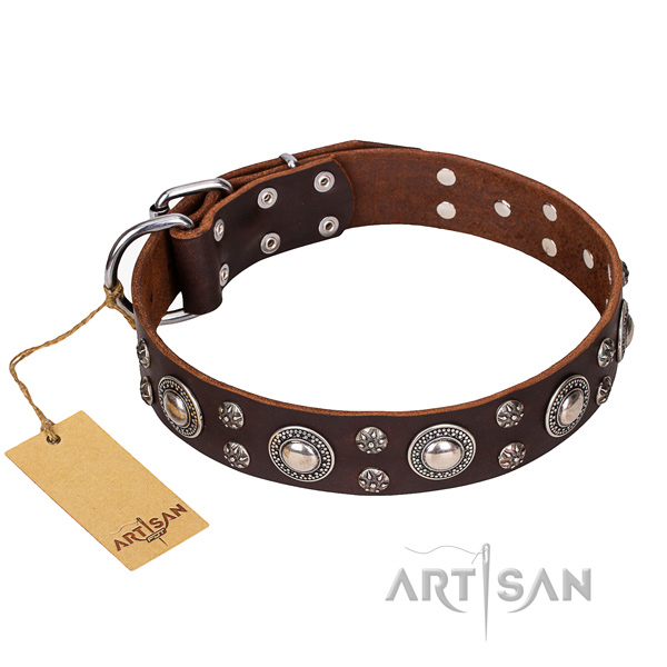 Long-lasting leather dog collar with brass plated fittings
