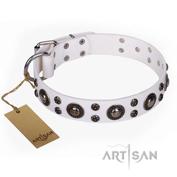 Amazing full grain leather dog collar for everyday walking