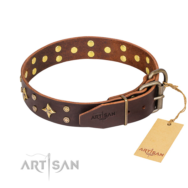 Daily walking leather collar with studs for your canine