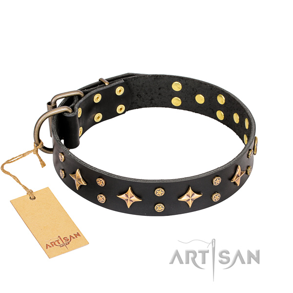 Daily walking genuine leather collar with adornments for your four-legged friend