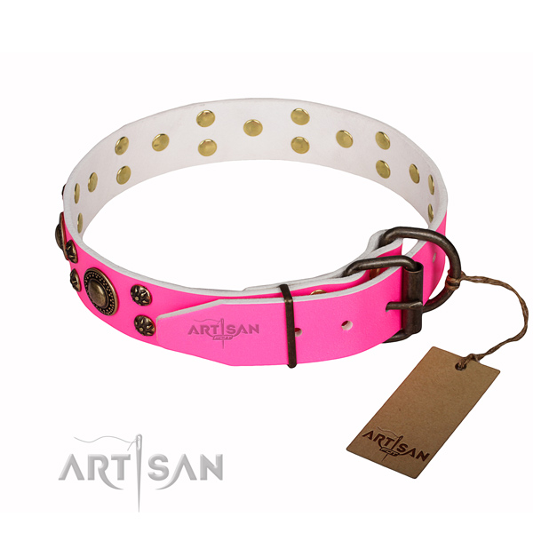 Unusual natural genuine leather dog collar for stylish walking