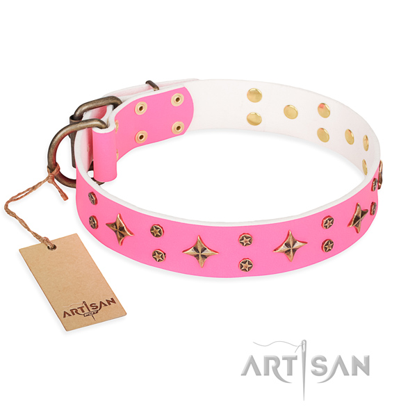 Awesome natural genuine leather dog collar for walking
