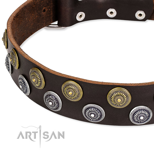 Genuine leather dog collar with top notch adornments