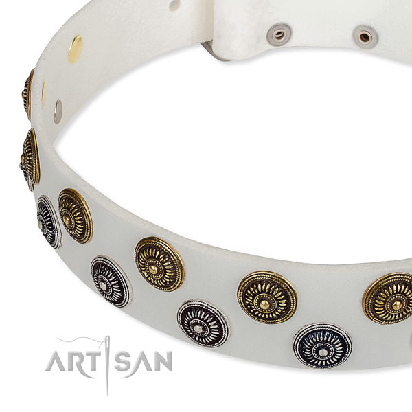 Genuine leather dog collar with significant studs