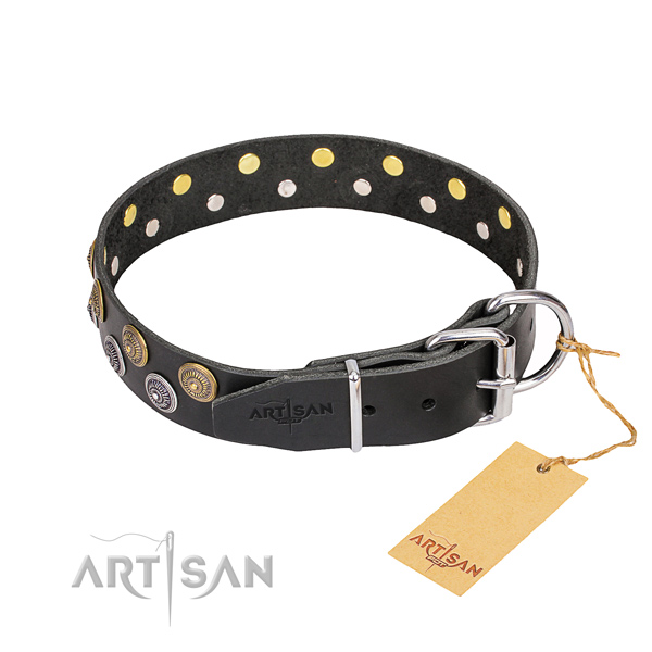 Stylish walking genuine leather collar with embellishments for your pet