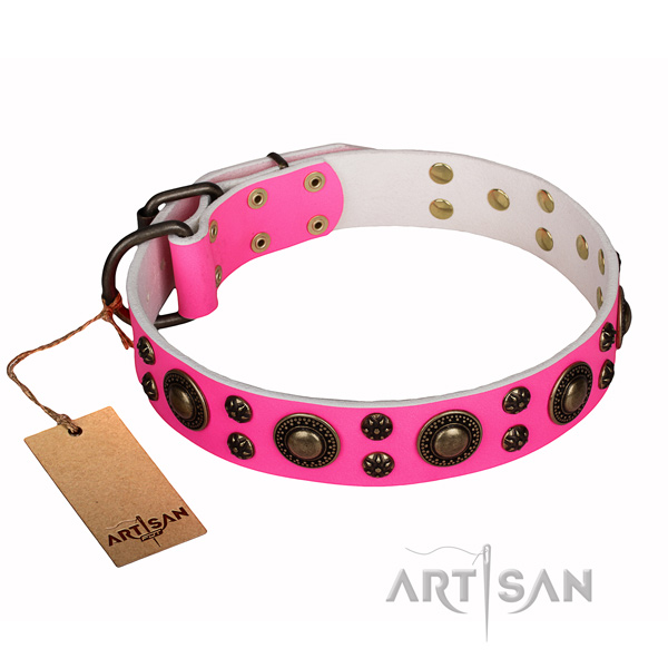 Daily walking genuine leather collar with adornments for your dog