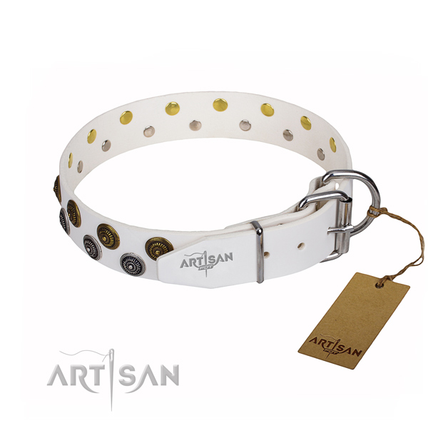 Everyday use full grain natural leather collar with adornments for your doggie