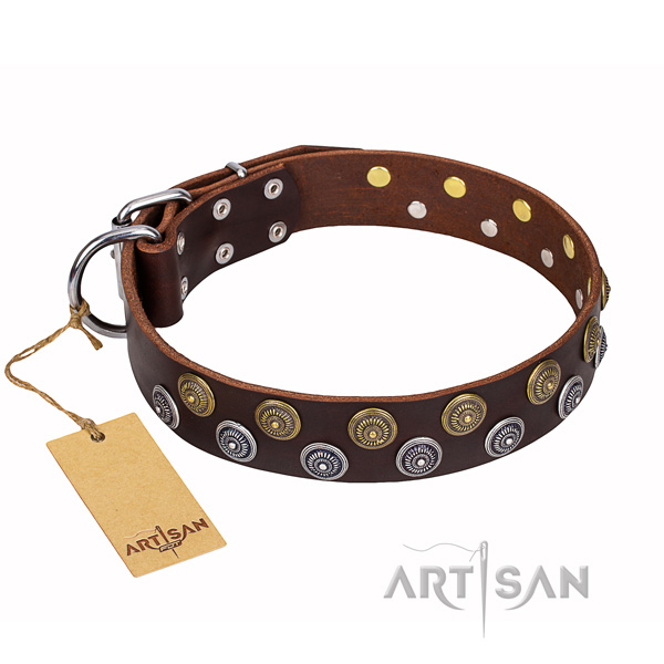 Incredible natural genuine leather dog collar for everyday use