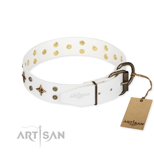 Daily use full grain genuine leather collar with embellishments for your dog