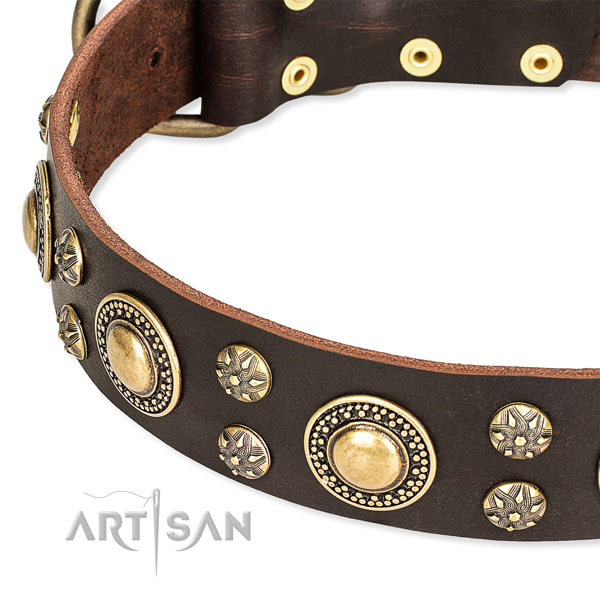 Daily walking full grain genuine leather collar with corrosion proof buckle and D-ring