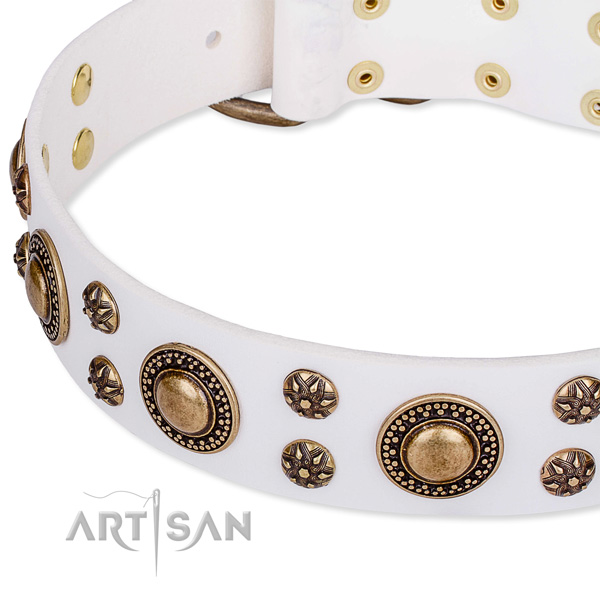 Leather dog collar with exquisite studs