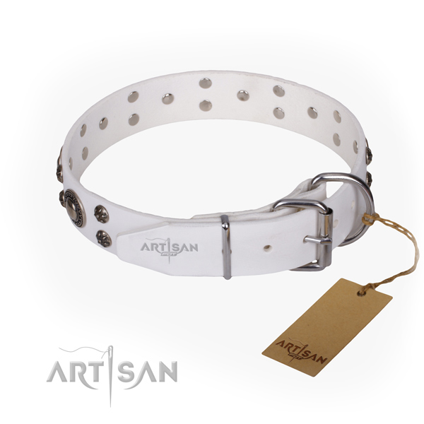 Everyday use full grain natural leather collar with studs for your pet