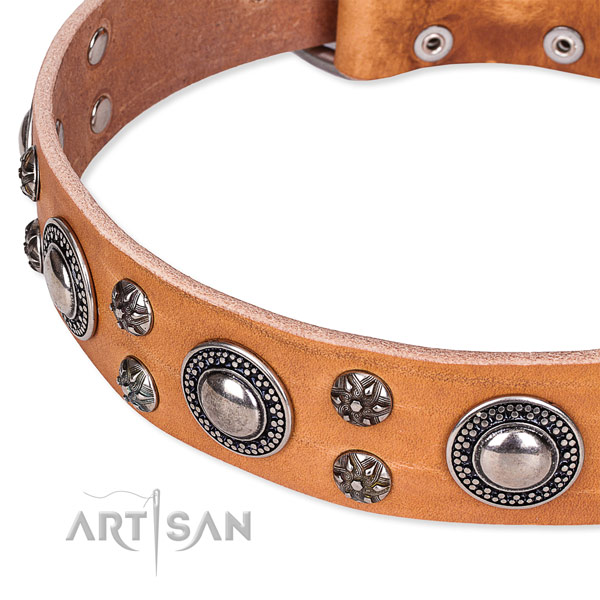 Handy use leather collar with strong buckle and D-ring