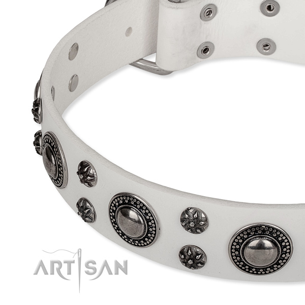 Walking full grain natural leather collar with rust resistant buckle and D-ring