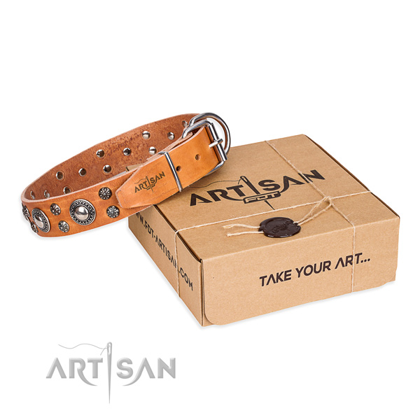 Perfect fit genuine leather dog collar for daily use
