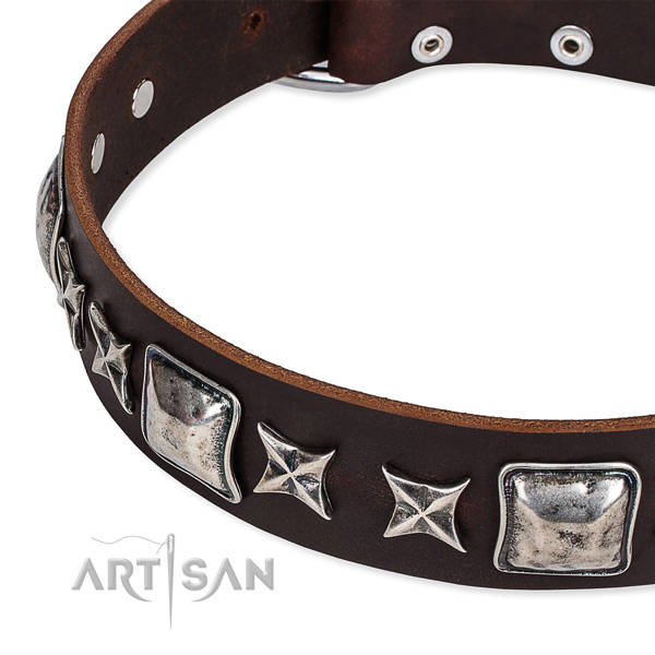 Full grain leather dog collar with embellishments for handy use