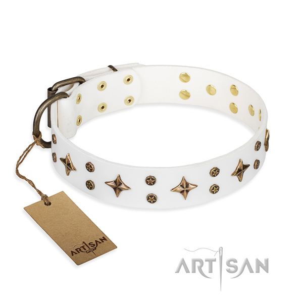 Exquisite full grain genuine leather dog collar for walking