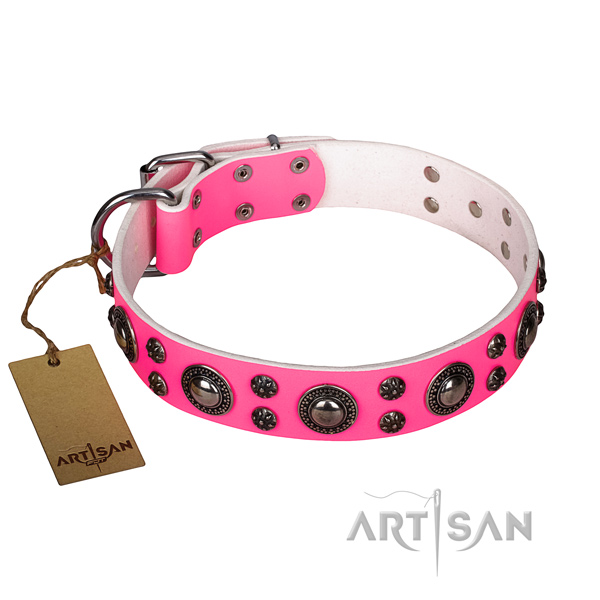 Impressive genuine leather dog collar for everyday use