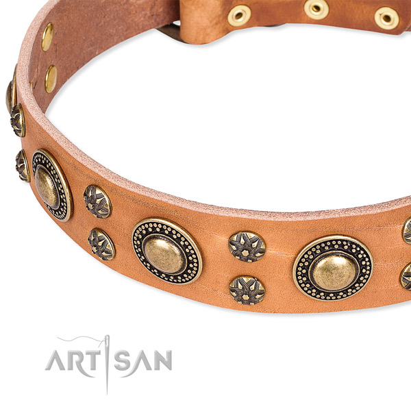 Leather dog collar with unusual adornments