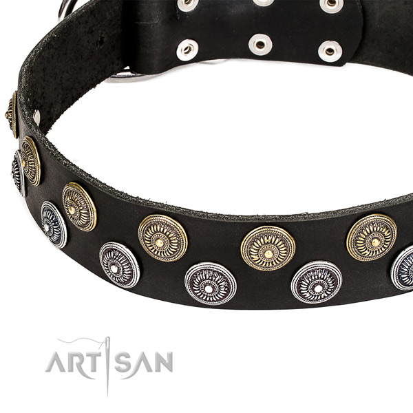 Natural genuine leather dog collar with exceptional embellishments