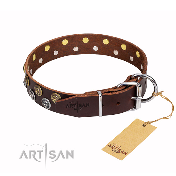 Daily walking leather collar with decorations for your four-legged friend