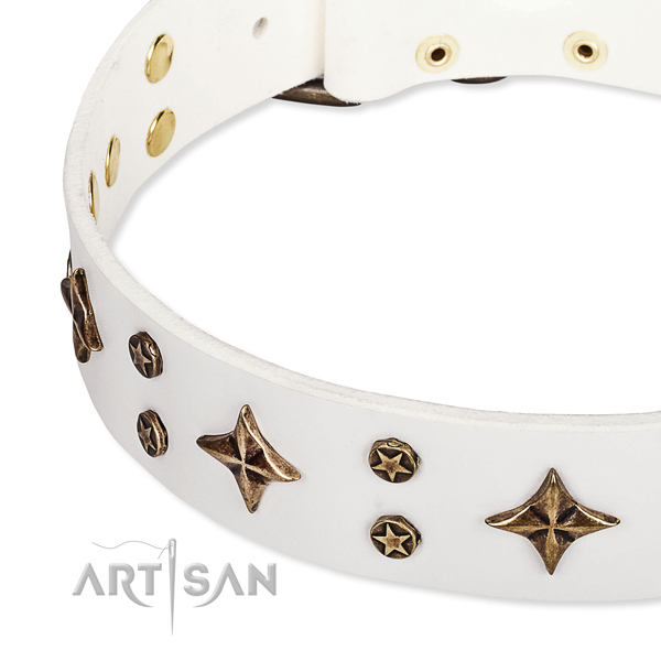 Full grain genuine leather dog collar with stunning decorations