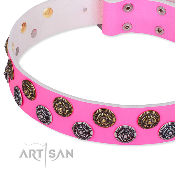 Full grain leather dog collar with incredible decorations
