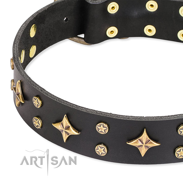 Full grain leather dog collar with inimitable embellishments