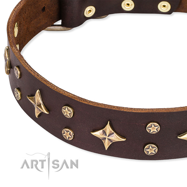 Full grain genuine leather dog collar with impressive adornments