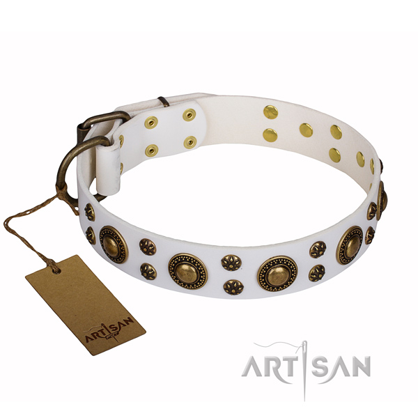 Daily walking full grain genuine leather collar with decorations for your canine