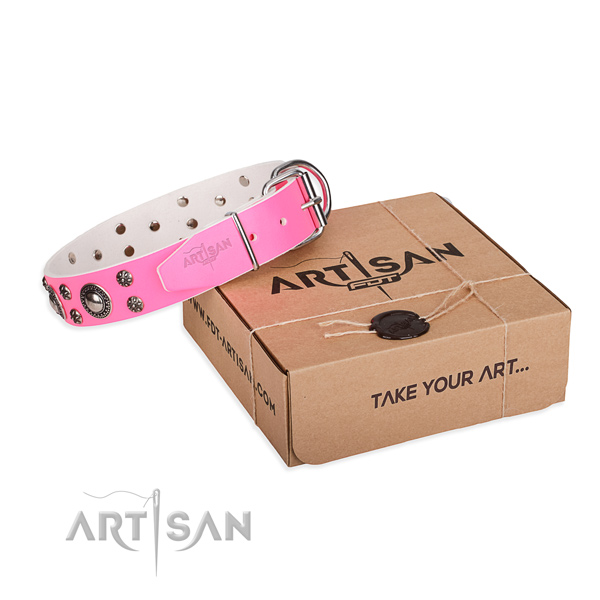 Fine quality full grain genuine leather dog collar for stylish walking