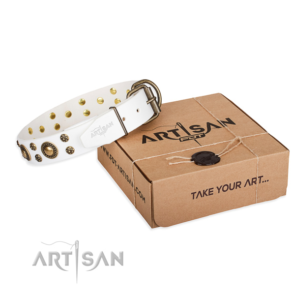 Leather dog collar with embellishments for daily walking