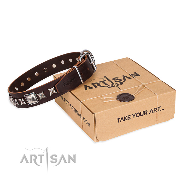 Studded full grain leather dog collar for stylish walks