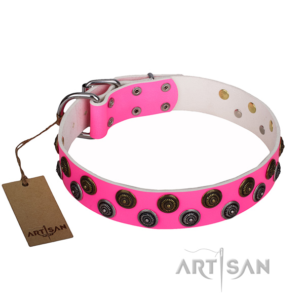 Unique leather dog collar for stylish walking