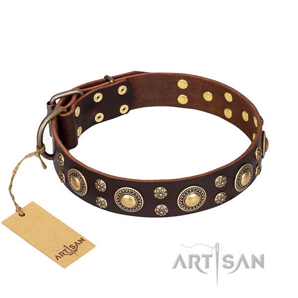 Significant full grain natural leather dog collar for stylish walking