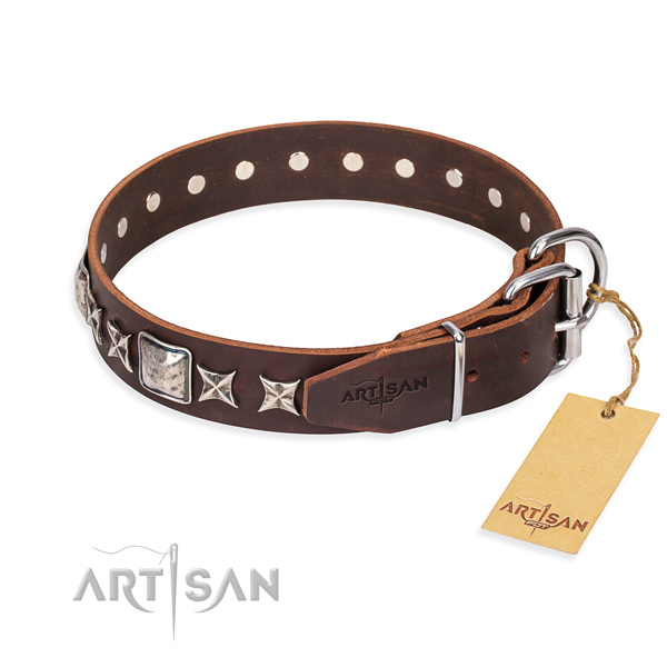 Stylish walking leather collar with embellishments for your pet
