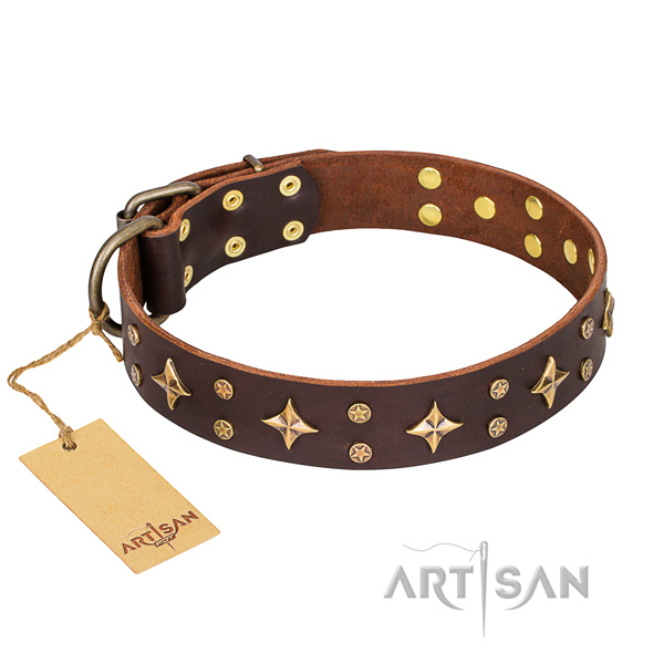 Amazing full grain natural leather dog collar for daily walking