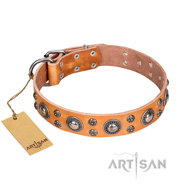 Unique leather dog collar for everyday use