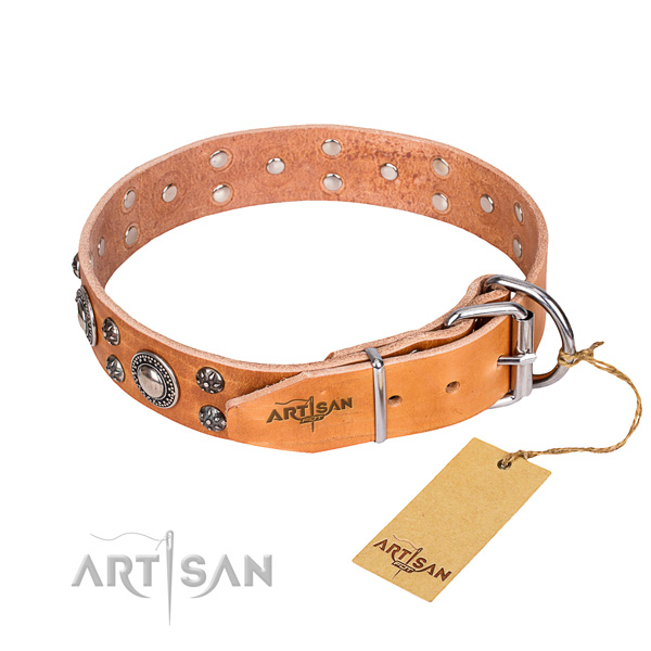 Everyday walking leather collar with adornments for your dog