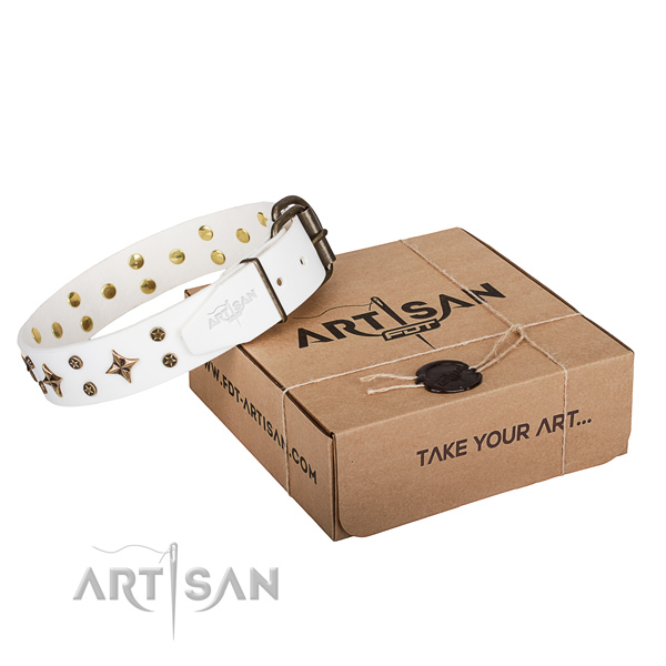 Decorated leather dog collar for stylish walking