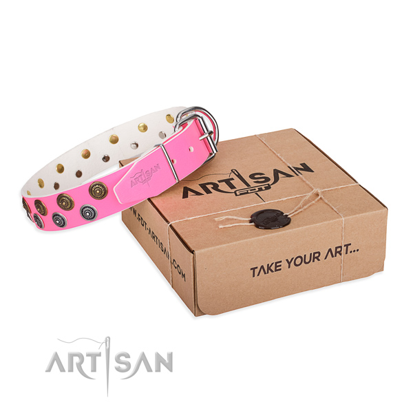 Studded full grain genuine leather dog collar for stylish walks