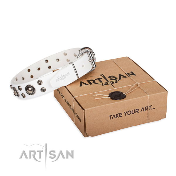 Awesome full grain natural leather dog collar for daily use