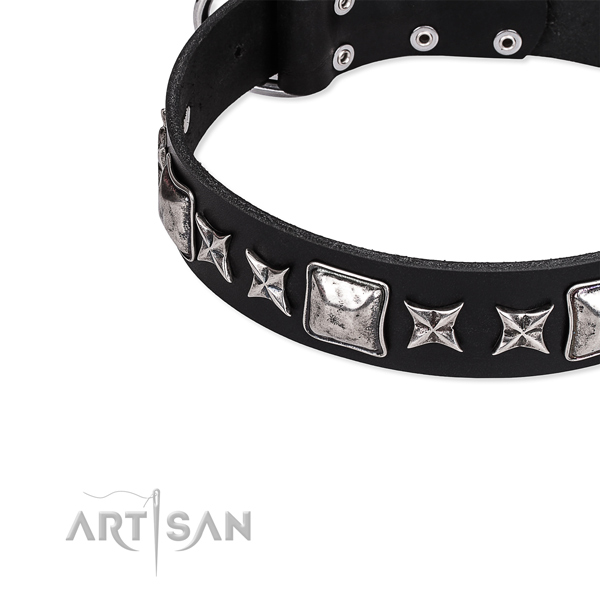 Full grain natural leather dog collar with extraordinary adornments