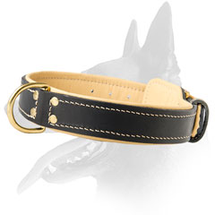 Belgian Malinois Leather Collar For Activities