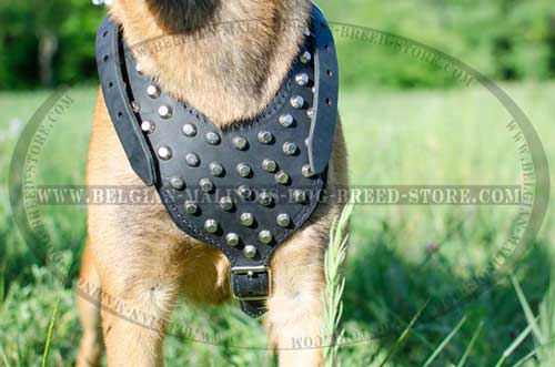 Universal Malinois Leather Harness