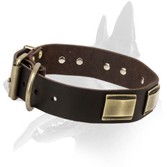 Handcrafted Belgian Malinois Leather Collar