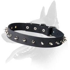 Handcrafted Malinois Leather Collar With Spikes