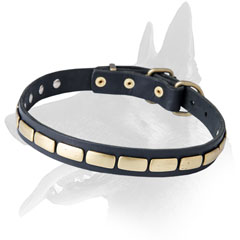 Elegant Malinois Leather Collar With Brass Plates