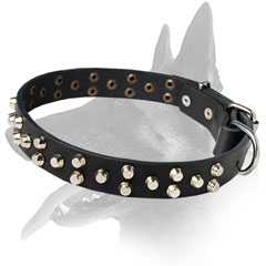 Belgian Malinois Leather Collar With Rustproof Metal Pyramids